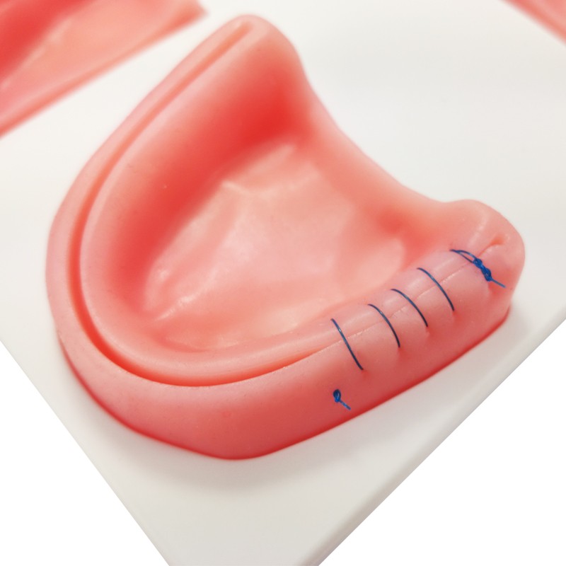 Dental Suture Practice Kit with Pad & Tools & Storage Case
