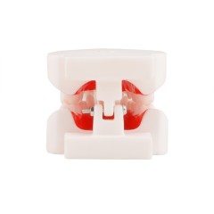 Dental Malocclusion Teeth Model - Distal, Mesial Occlusion Demonstration