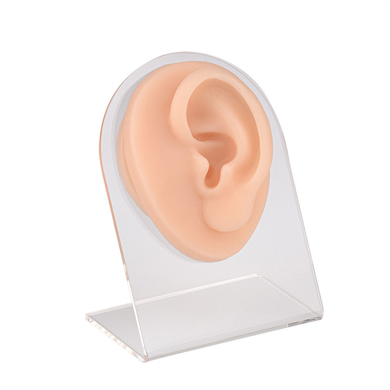 Piercing Silicone Ear Practice Model with Display Stand