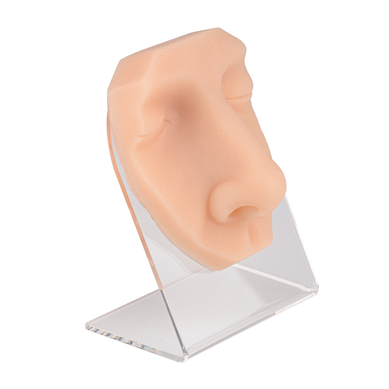 Silicone Nose Piercing & Display Model with Stand