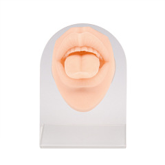 Silicone Tongue & Mouth Piercing Practice Model with Stand