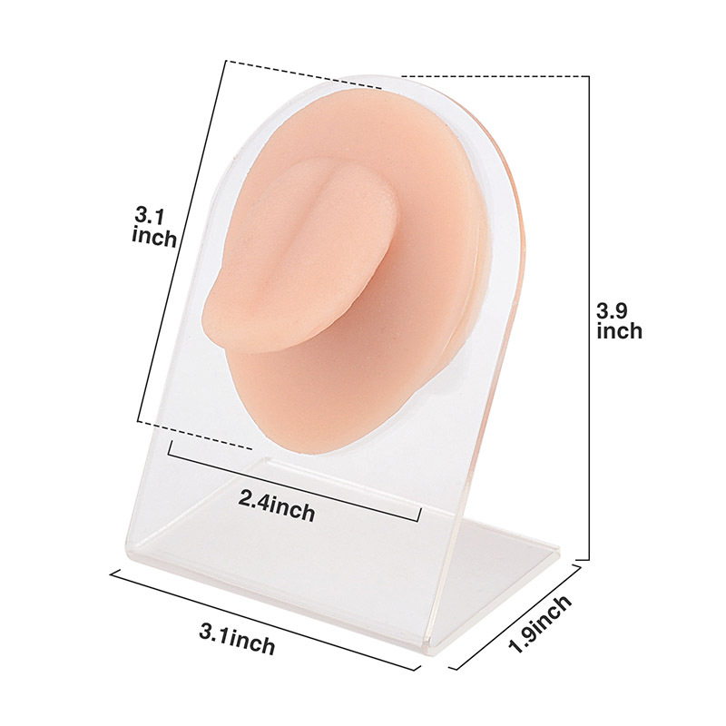 Silicone Tongue Model for Piercing & Acupuncture & Demo
