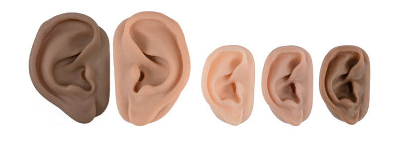 acupuncture ear model
