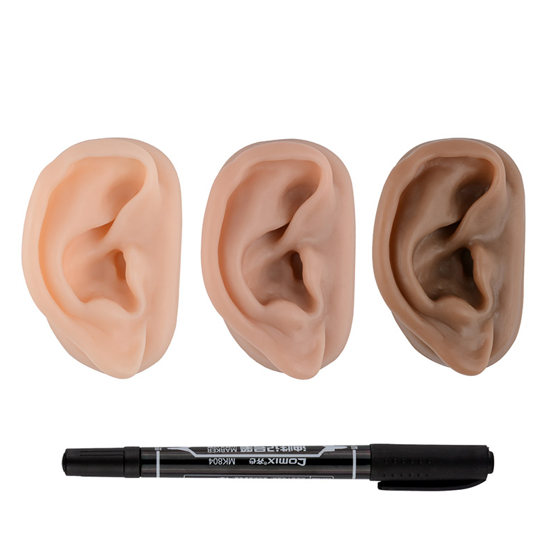 Silicone Acupuncture Ear Model for Teaching & Training
