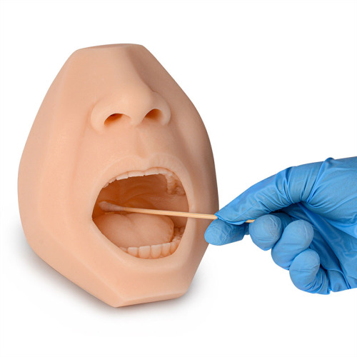 Swab Test Training Model for Throat &amp; Nasal Swab Collection