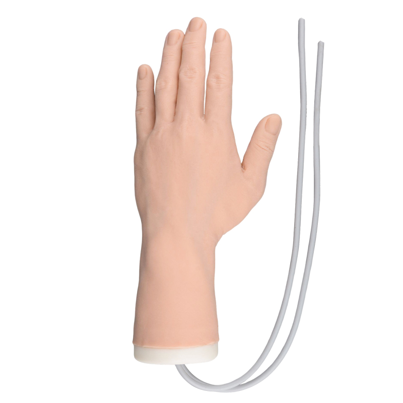 Professional IV Hand Practice Kit for Clinical Nursing Courses