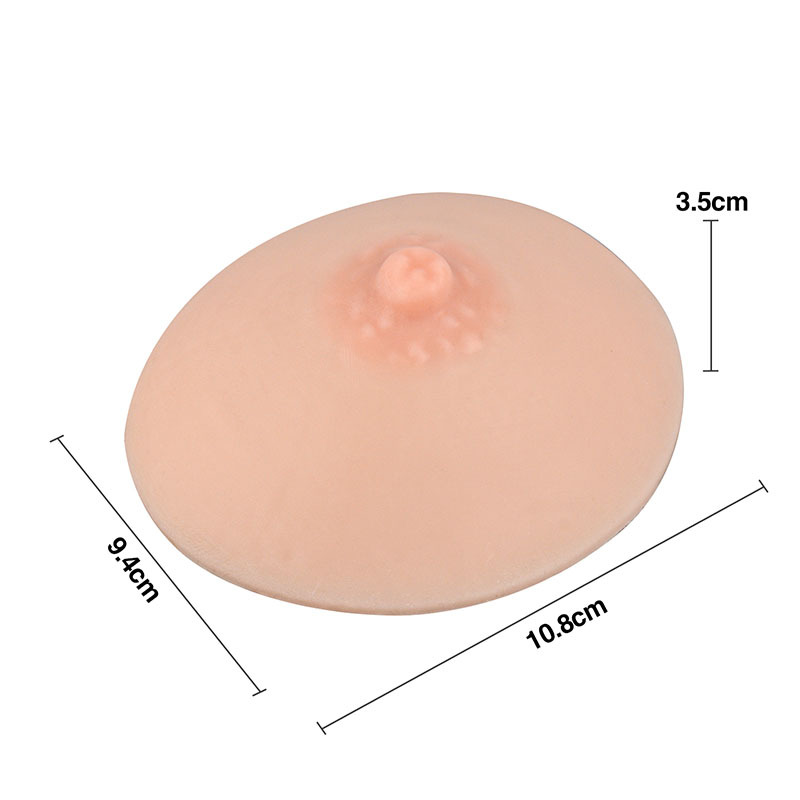 Lactation & Breastfeeding Education Model, Hemisphere, Small/Medium Size