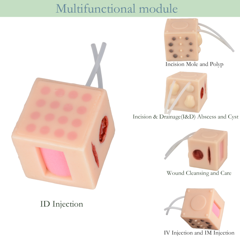 Medical Training Multicube Customized 6 Sides Simulation Model