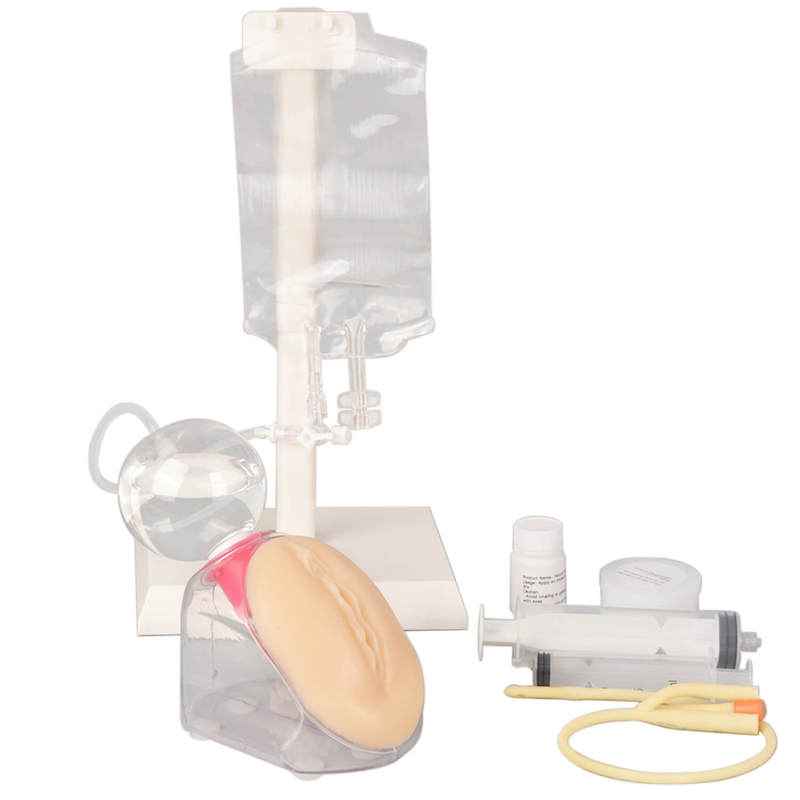 Female Urinary Catheterization Trainer