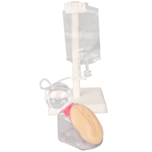 Female Urinary Catheterization Trainer