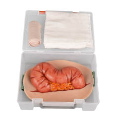 Wearable Abdominal Eviscerated Colon Wound Simulator Kit