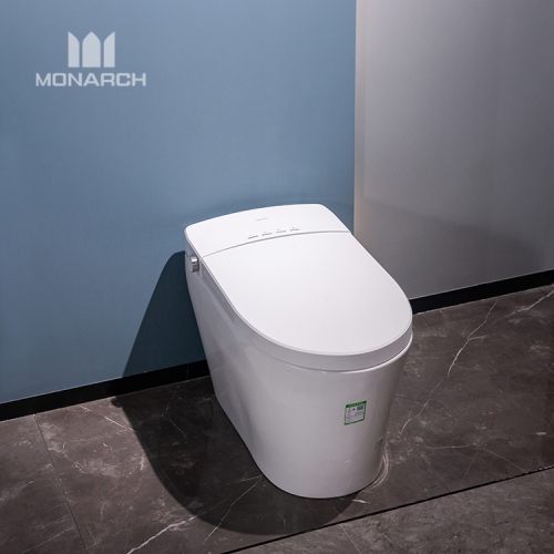 Sanitaires européens montés au sol Séchage à l'air chaud Siphon chasse d'eau toilettes en céramique Chine Smart Intelligent WC ensemble de toilettes