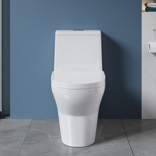 Monarch white ceramic toilet with row of toilets