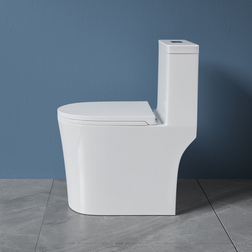 Monarch white floor-standing ceramic toilet