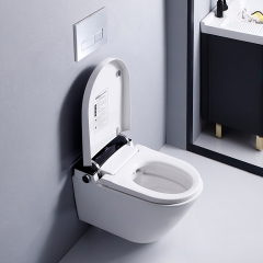 Fully Automatic Cleaning Wall mounted Toilet