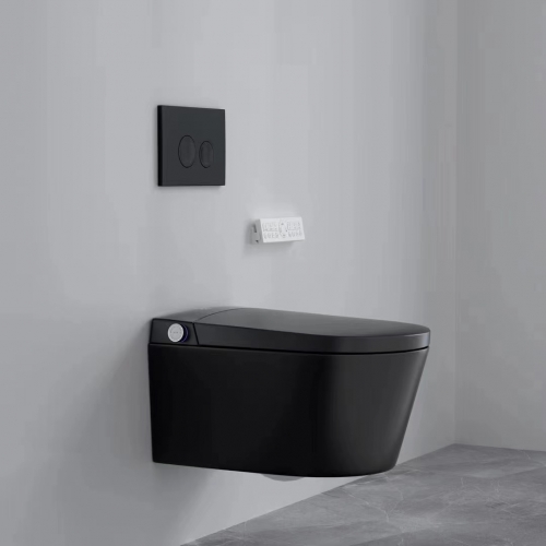 Bathroom Black Toilet Bowl