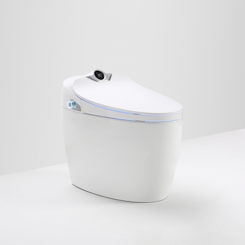 China fabricante de assento de vaso sanitário inteligente limpador automático