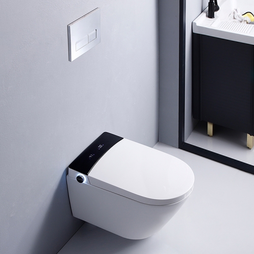 Wall Mounted Toilet With Bidet