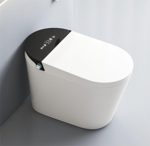 Fournisseur de toilettes intelligentes Monarch avec bidet