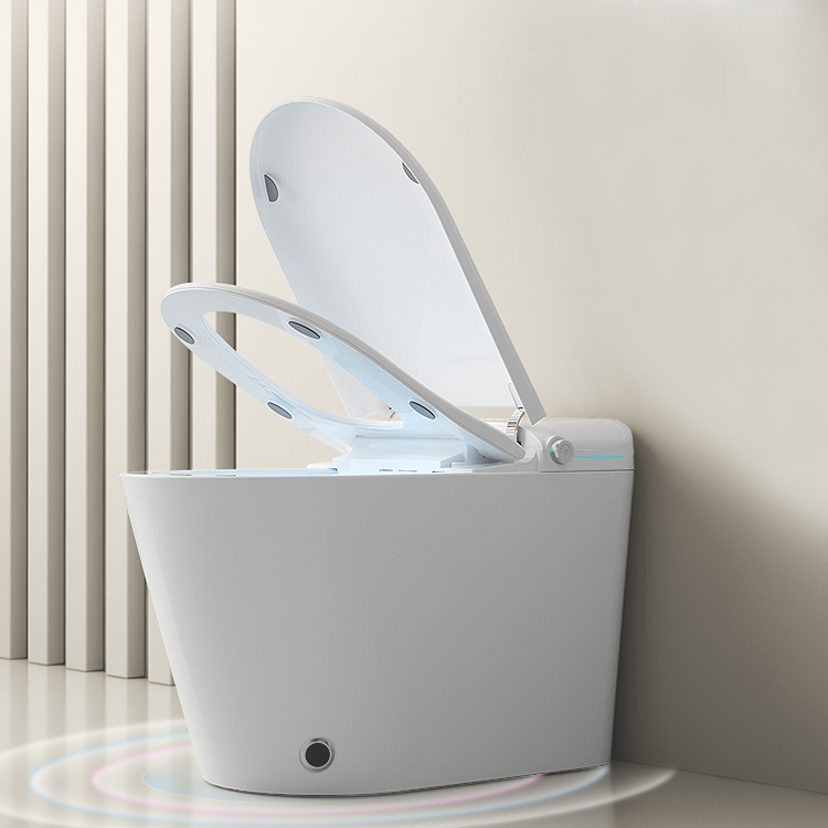 Le pouvoir de l'hygiène moderne - Le bidet électronique