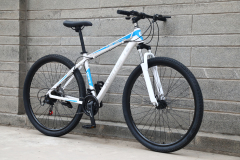 29 Inch Aluminum Alloy Frame Non-foldable Men's Women's Mountain Bike