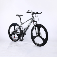 High Quality Super Cheap Carbon Steel Frame Mountain Bike