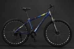 New Disc Brake High Quality Alloy Bcycle