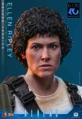 Hot Toys 1/6 MMS895 – Aliens - Ellen Ripley (Deluxe Version) PRE-ORDER