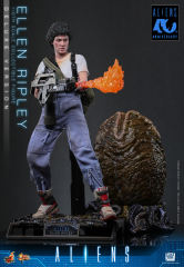 Hot Toys 1/6 MMS895 – Aliens - Ellen Ripley (Deluxe Version) PRE-ORDER
