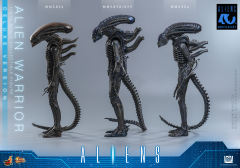 Hot Toys 1/6 MMS899 – Aliens - Alien Warrior (Deluxe Version) PRE-ORDER