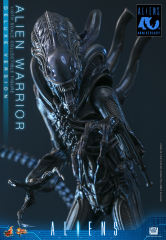 Hot Toys 1/6 MMS899 – Aliens - Alien Warrior (Deluxe Version) PRE-ORDER