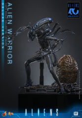 Hot Toys 1/6 MMS899 – Aliens - Alien Warrior (Deluxe Version) PRE-ORDER
