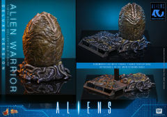 Hot Toys 1/6 MMS899 – Aliens - Alien Warrior (Deluxe Version) PRE-ORDER