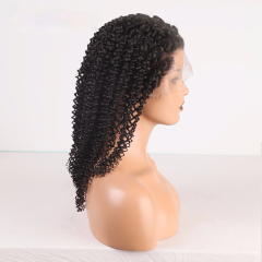 Naturl Hairline 13x6 Lace Front Wigs Kinky Curly Human Hair Wigs