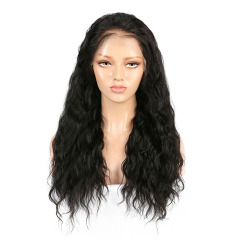 Black Loose Wave Human Hair Wig 13x6 HD Lace Pre Plucked Hairline Wigs