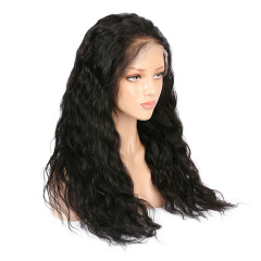 Black Loose Wave Human Hair Wig 13x6 HD Lace Pre Plucked Hairline Wigs