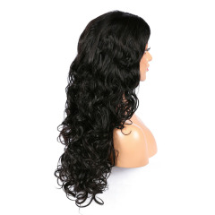 13x6 HD Lace Front Wigs Water Wave Nature Hairline Human Hair Wig