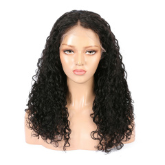 Black 13x6 HD Lace Front Wig Water Wave Human Hair Wig