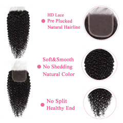 Curly Wave 5x5 HD Lace Closure Natural Color Closure Human Hair Closure for Black Women