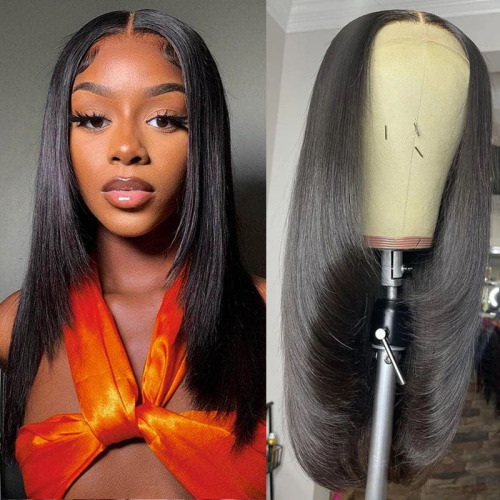 13x4 HD Lace Front Wig Silk Straight Layered Human Hair Wig