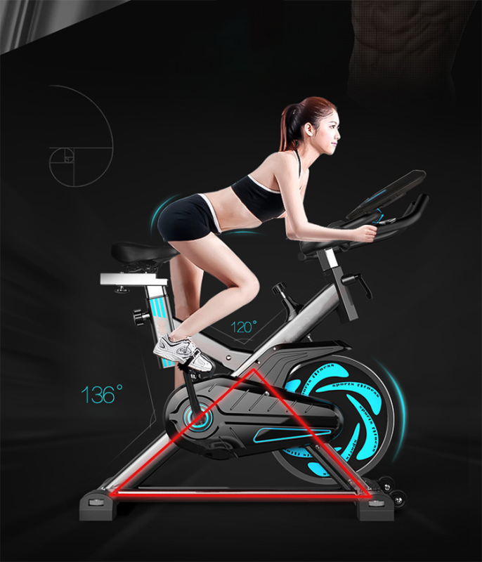 Fitness Home Use 1255DP Exercise Bicycle Commercial spinning bike home gym spinning bike