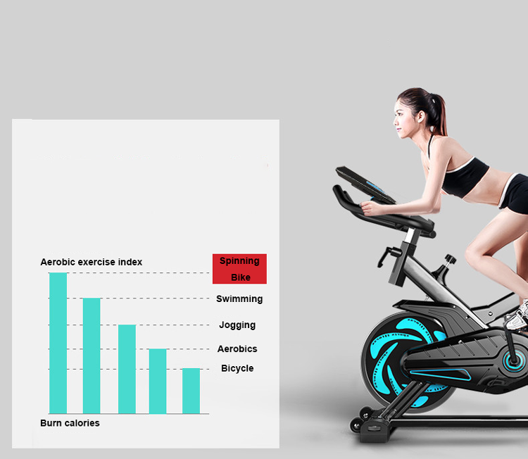 Fitness Home Use 1255DP Exercise Bicycle Commercial spinning bike home gym spinning bike