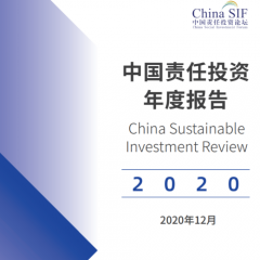 中国责任投资年度报告2020