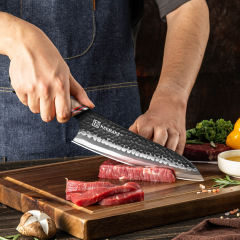 8 Inch Kitchen Knife 7 Layers 440C Damascus Steel Chef Knife with Resin Handle