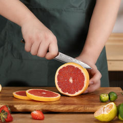 KEEMAKE-5 Inch Utility Knife G10 Handle 67 Layers Damascus Steel Kitchen Knife with Gift Box