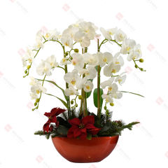 48pcs PEVA orchid with ceramic pot