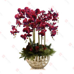 64pcs PEVA orchid with silver ceramic pot Christmas