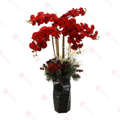 48pcs orchid with black ceramic pot Christmas