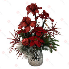 Clivia and Poinsettia with silver ceramic Pot Christmas