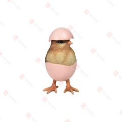 RESIN CHICK WEARING EGG SHELL TABLE DECO